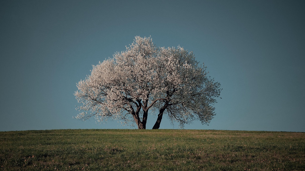 라섹 스마일라식 안전성