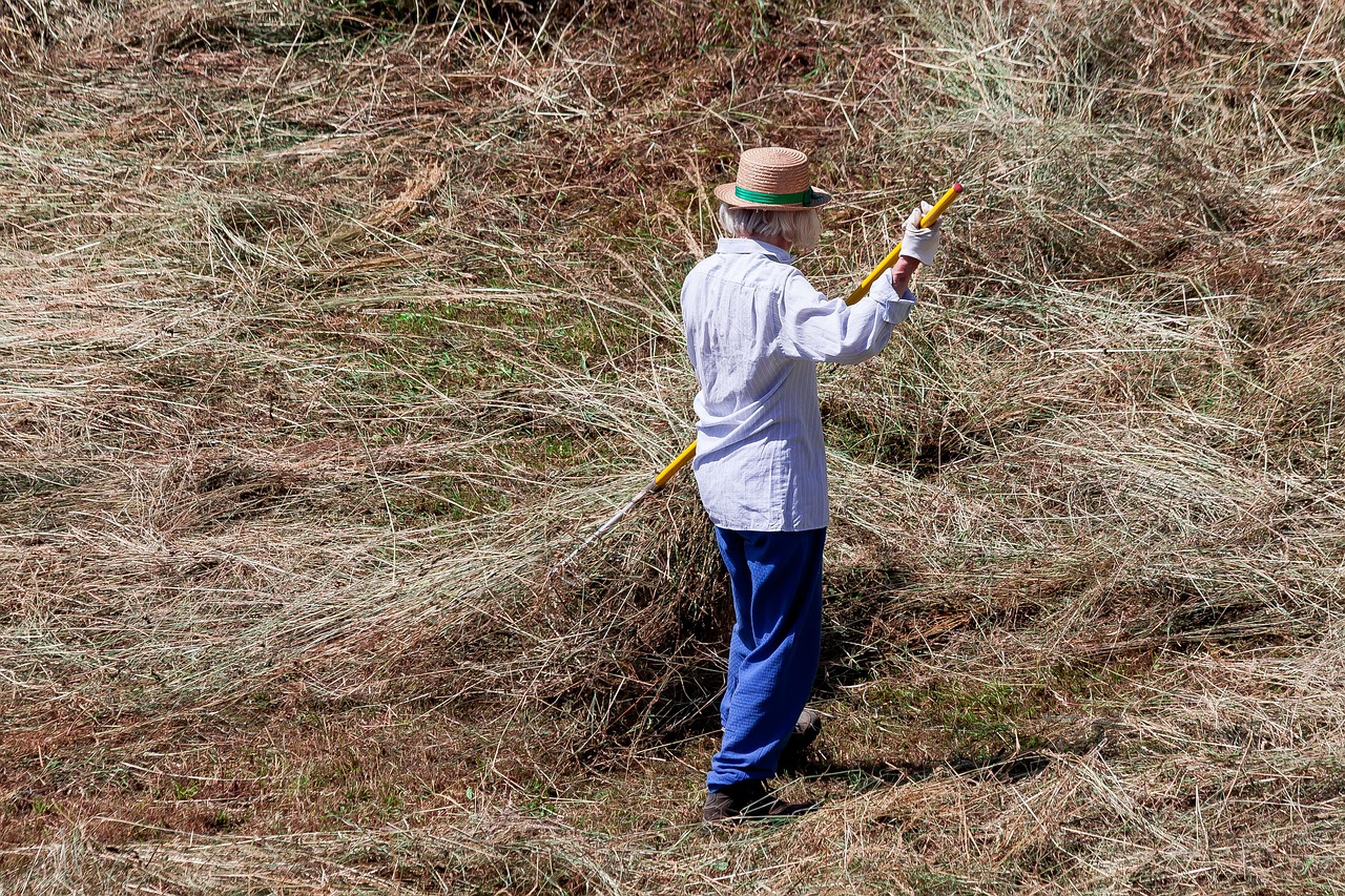라식 실비보험 적용
