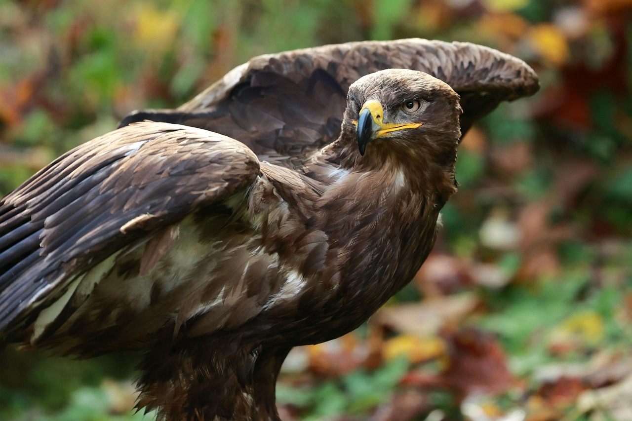 스마일라식 안약 넣는 기간