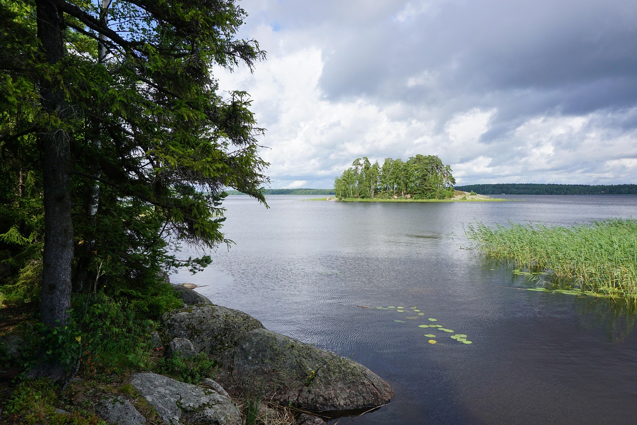 노안라식 실비보험