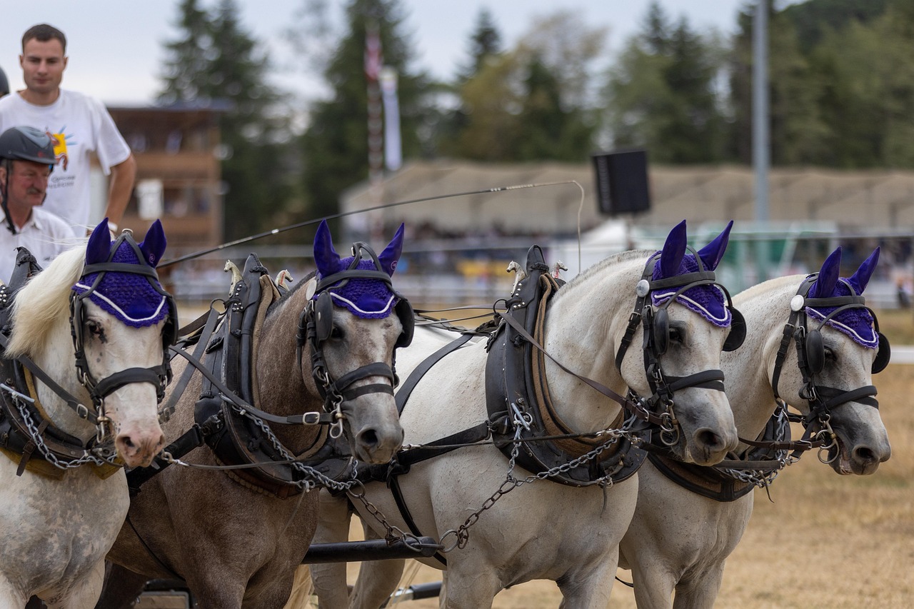 스마일라식 안구건조증 이유