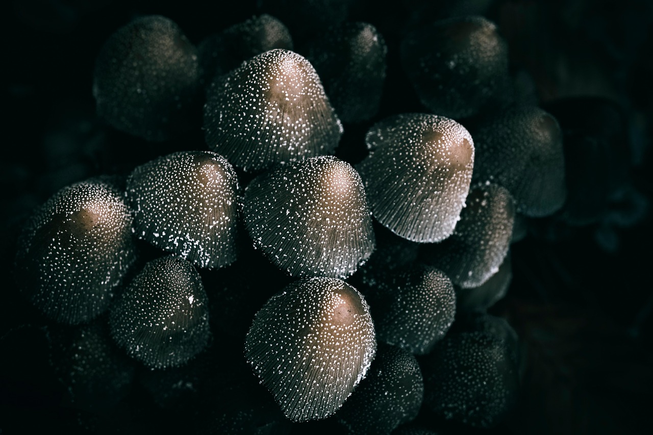 라식 후 시력저하 안약