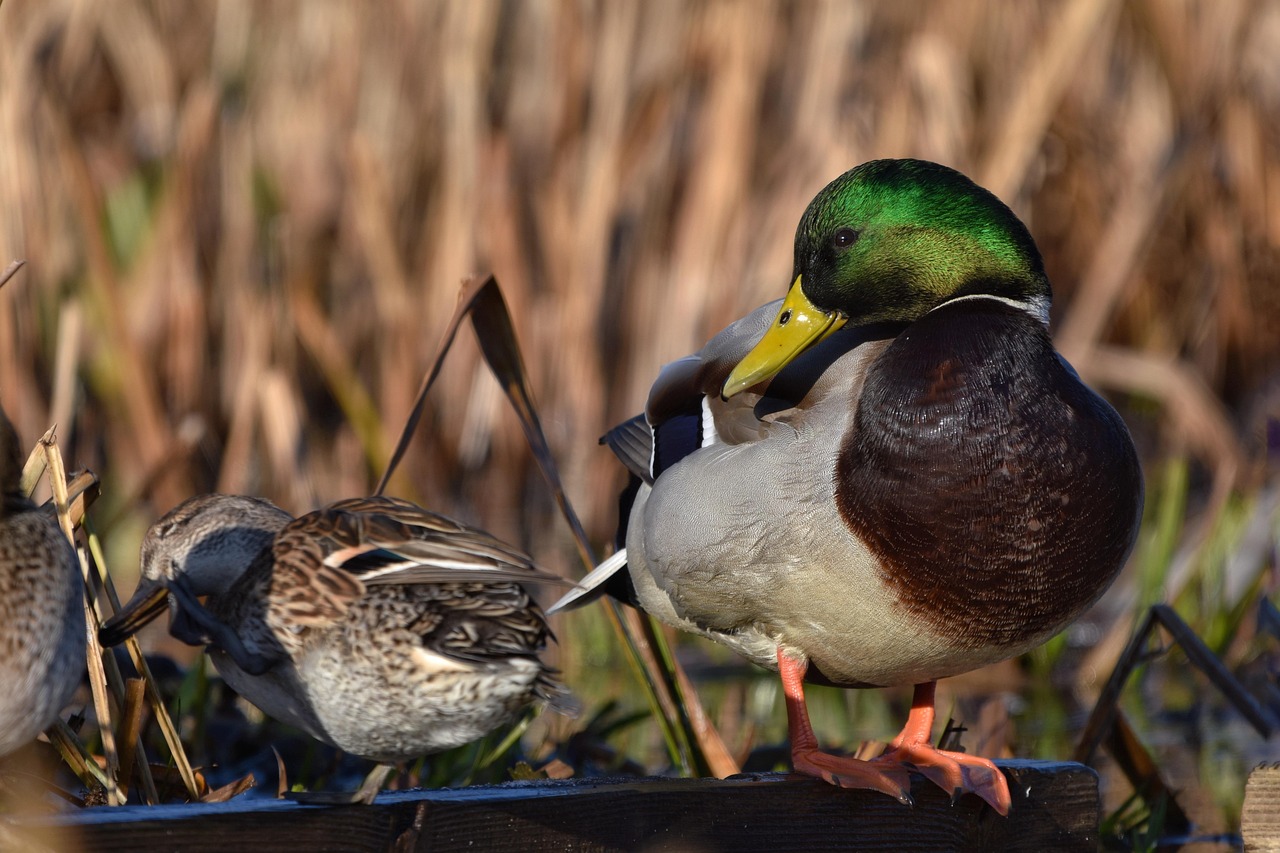 스마일 라식 빛번짐