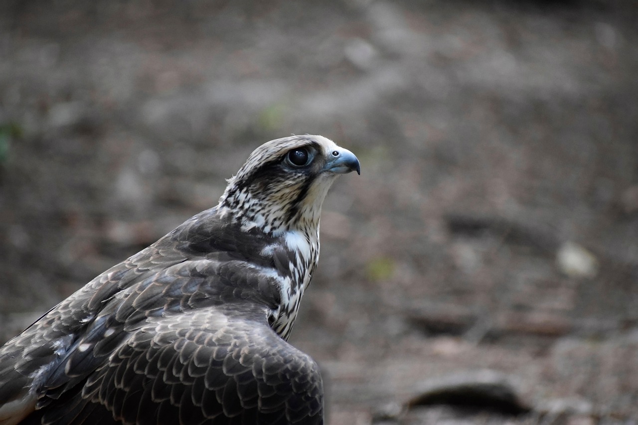 스마일라식 프로 병원
