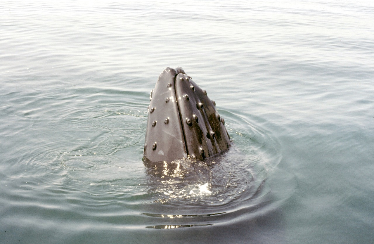 대구 메트로안과 스마일라식 검사