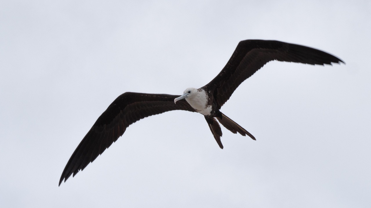 스마일라식 안약 기간
